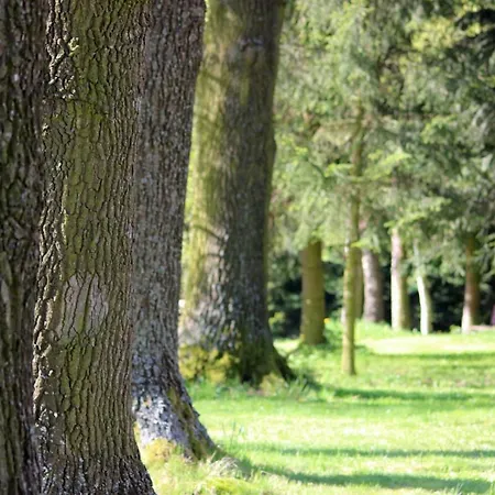 Hlebowka Siedlisko W Sudetach