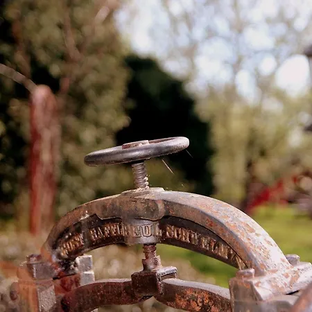 Farma Hlebowka Siedlisko W Sudetach Lubawka