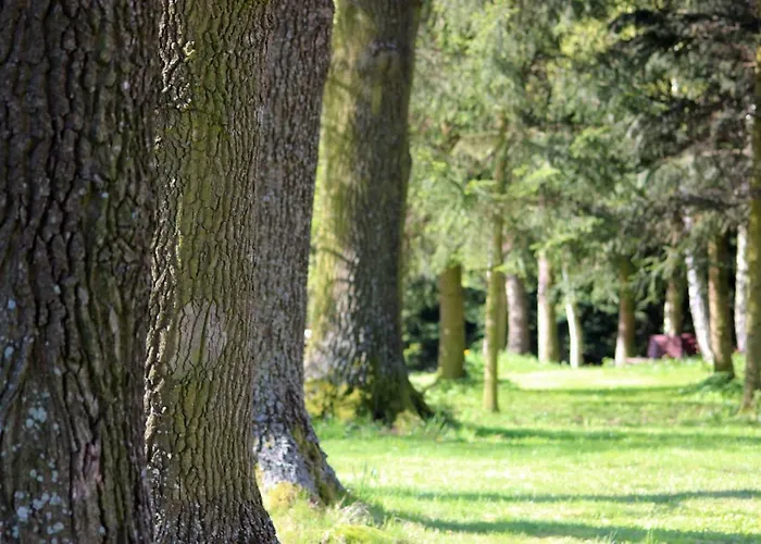 Hlebowka Siedlisko W Sudetach